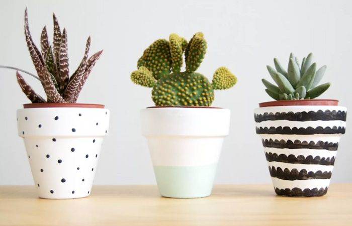 Decoração com Cactos: Vasos Preto e Branco