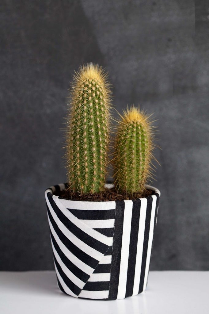 Decoração com Cactos: Vasos Artesanais